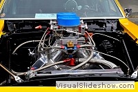 tn_DSC_7886_jpg