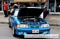 tn_DSC_7935_jpg