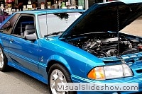 tn_DSC_7939_jpg
