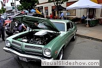 tn_DSC_7980_jpg