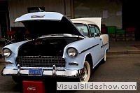 tn_DSC_7988_jpg