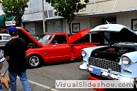 tn_DSC_7995_jpg