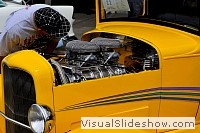 tn_DSC_7998_jpg
