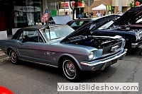 tn_DSC_8010_jpg