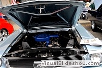 tn_DSC_8016_jpg