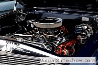 tn_DSC_8017_jpg
