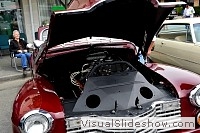 tn_DSC_8022_jpg