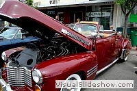 tn_DSC_8028_jpg