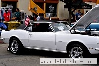 tn_DSC_8032_jpg