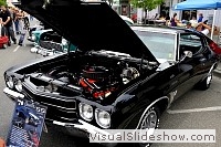 tn_DSC_8063_jpg