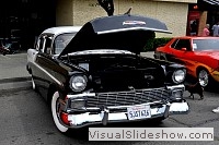tn_DSC_8069_jpg