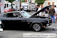 tn_DSC_8071_jpg