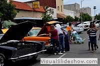 tn_DSC_8092_jpg