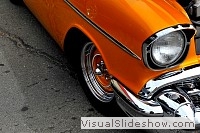 tn_DSC_8110_jpg