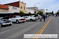 tn_DSC_8134_jpg