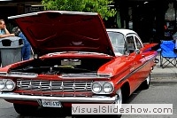 tn_DSC_8142_jpg