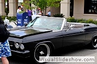 tn_DSC_8147_jpg
