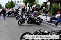 tn_DSC_8155_jpg