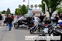 tn_DSC_8165_jpg