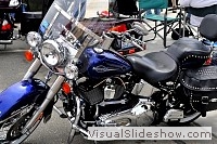 tn_DSC_8174_jpg