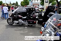 tn_DSC_8177_jpg