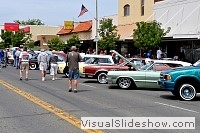 tn_DSC_8218_jpg