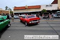 tn_DSC_8285_jpg