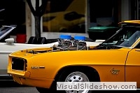 tn_DSC_8375_jpg