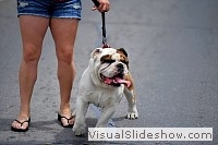 tn_DSC_8386_jpg