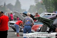 tn_DSC_8390_jpg