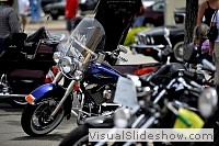 tn_DSC_8445_jpg