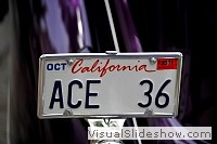tn_DSC_8507_jpg