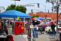 DSC_7723.jpg