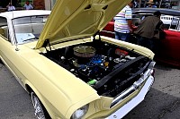 DSC_7742.jpg