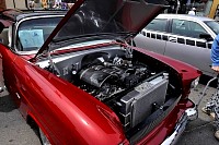 DSC_7743.jpg