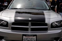 DSC_7757.jpg