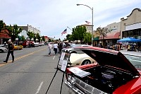 DSC_7764.jpg