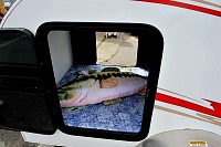 DSC_7775.jpg