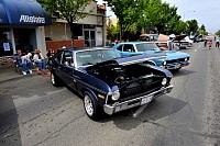 DSC_7786.jpg