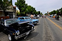DSC_7787.jpg