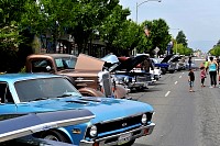 DSC_7791.jpg
