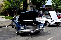 DSC_7802.jpg
