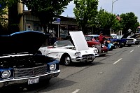 DSC_7805.jpg