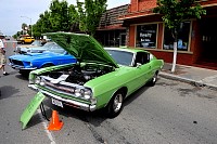 DSC_7813.jpg