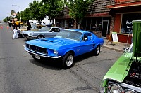 DSC_7815.jpg