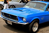 DSC_7818.jpg