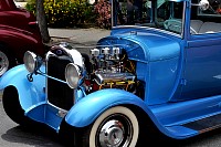 DSC_7826.jpg
