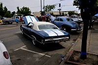 DSC_7838.jpg