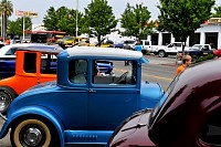 DSC_7841.jpg