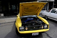 DSC_7865.jpg